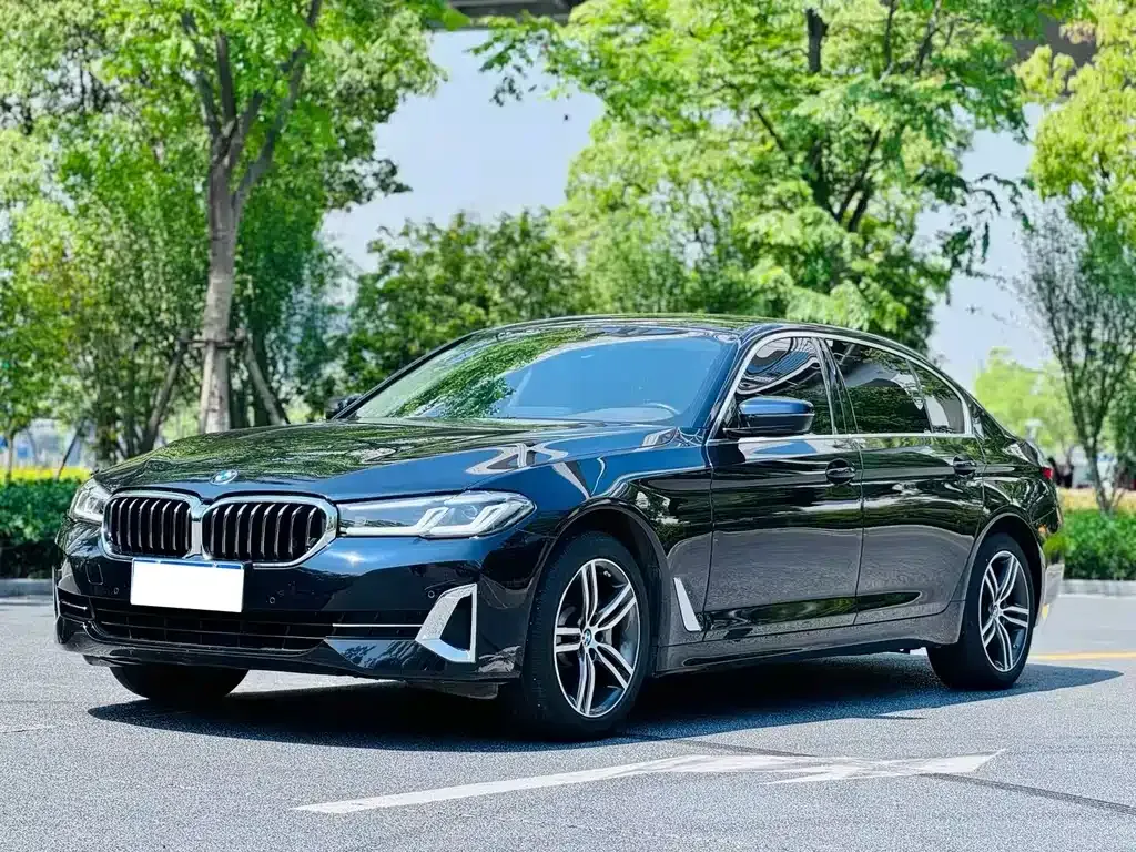 BMW 5 Series 2023 из CN, фото 1