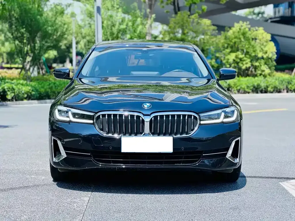 BMW 5 Series 2023 из CN, фото 2