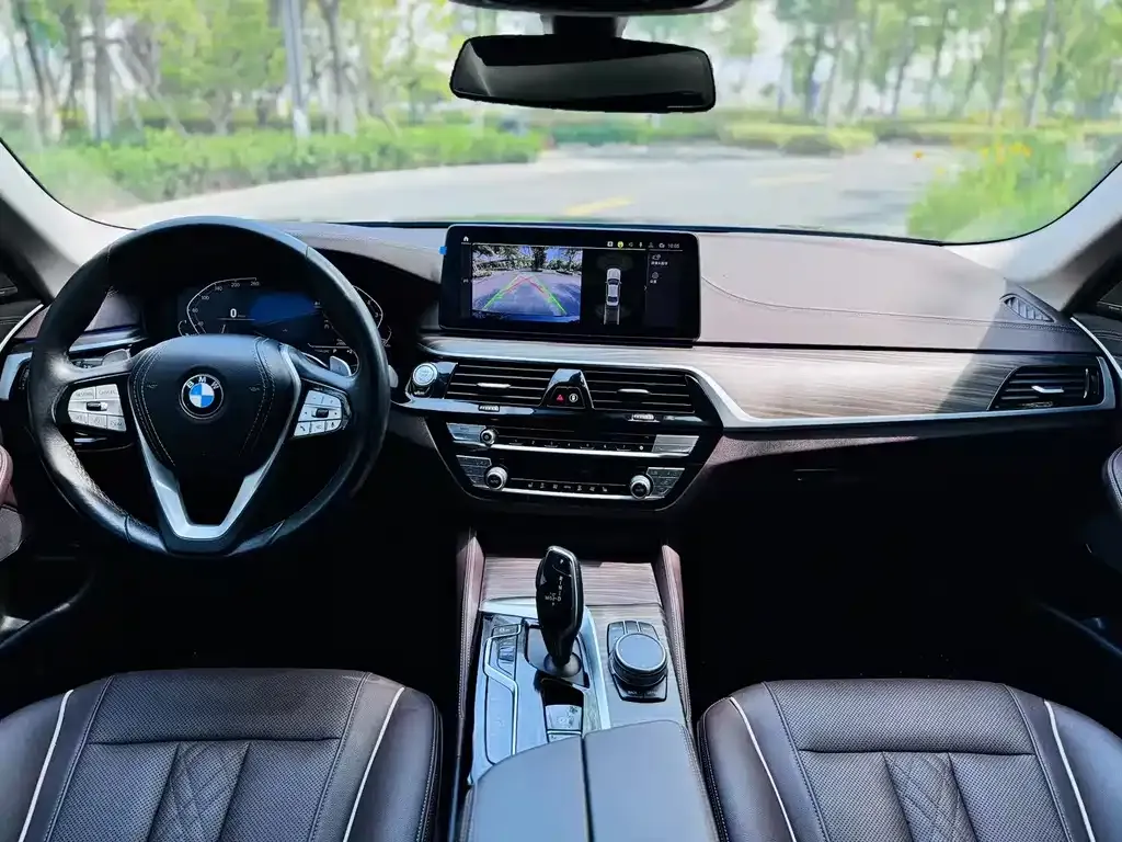 BMW 5 Series 2023 из CN, фото 3