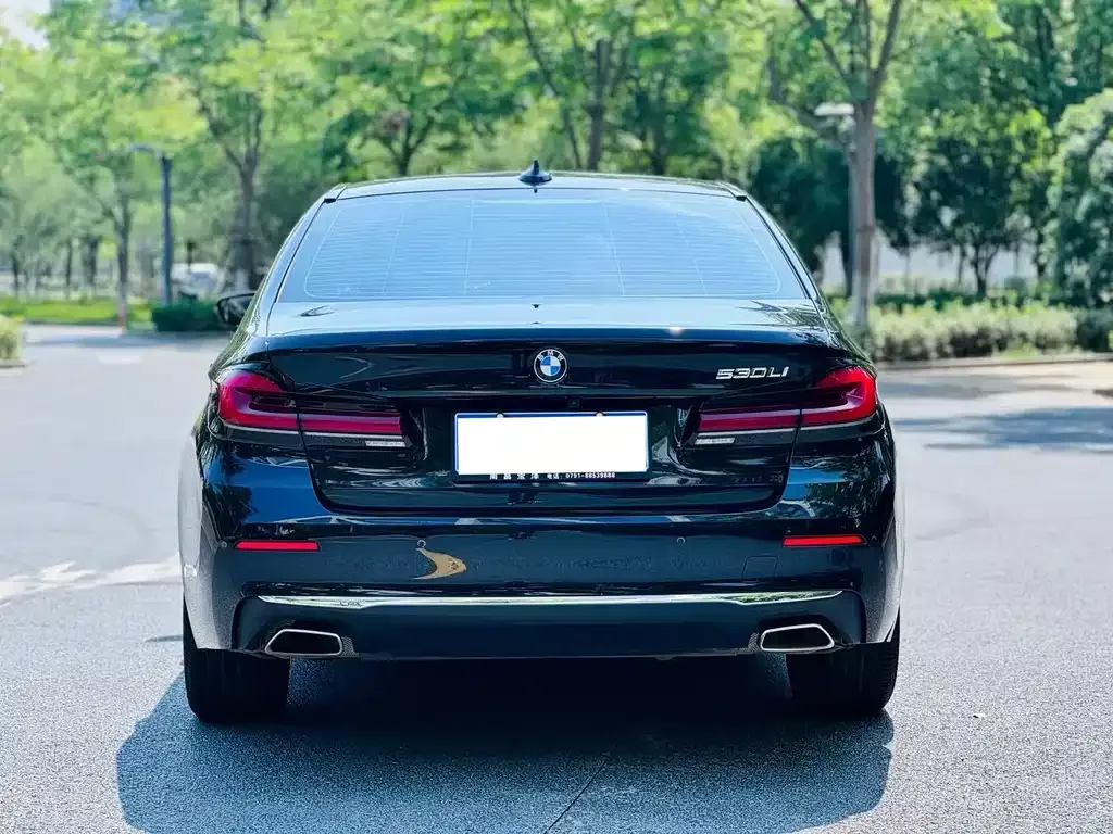 BMW 5 Series 2023 из CN, фото 8