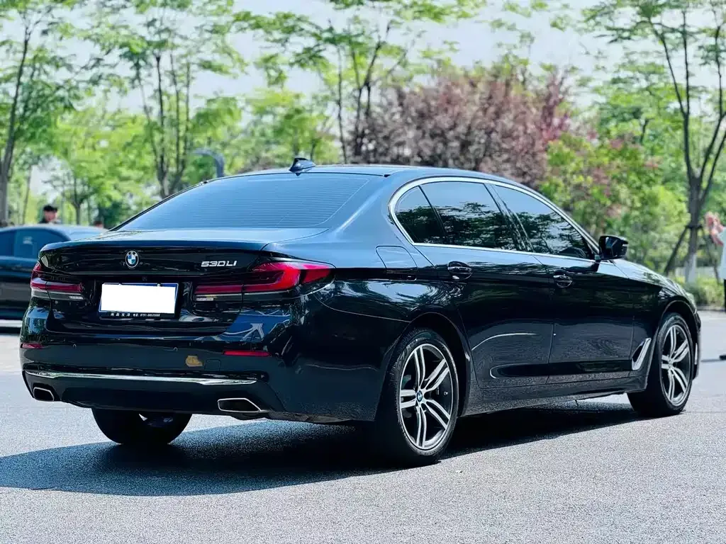 BMW 5 Series 2023 из CN, фото 9