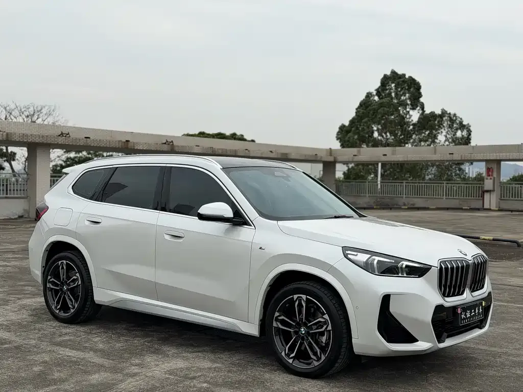 BMW X1 2024 из CN, фото 3