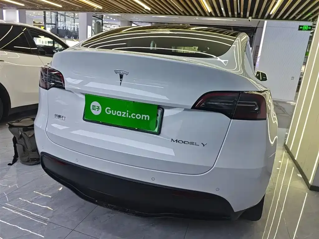 Tesla Model Y 2024 из CN, фото 6