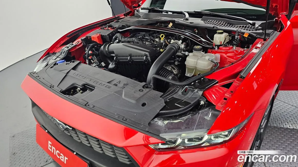 Ford Mustang 2024 из KR, фото 6
