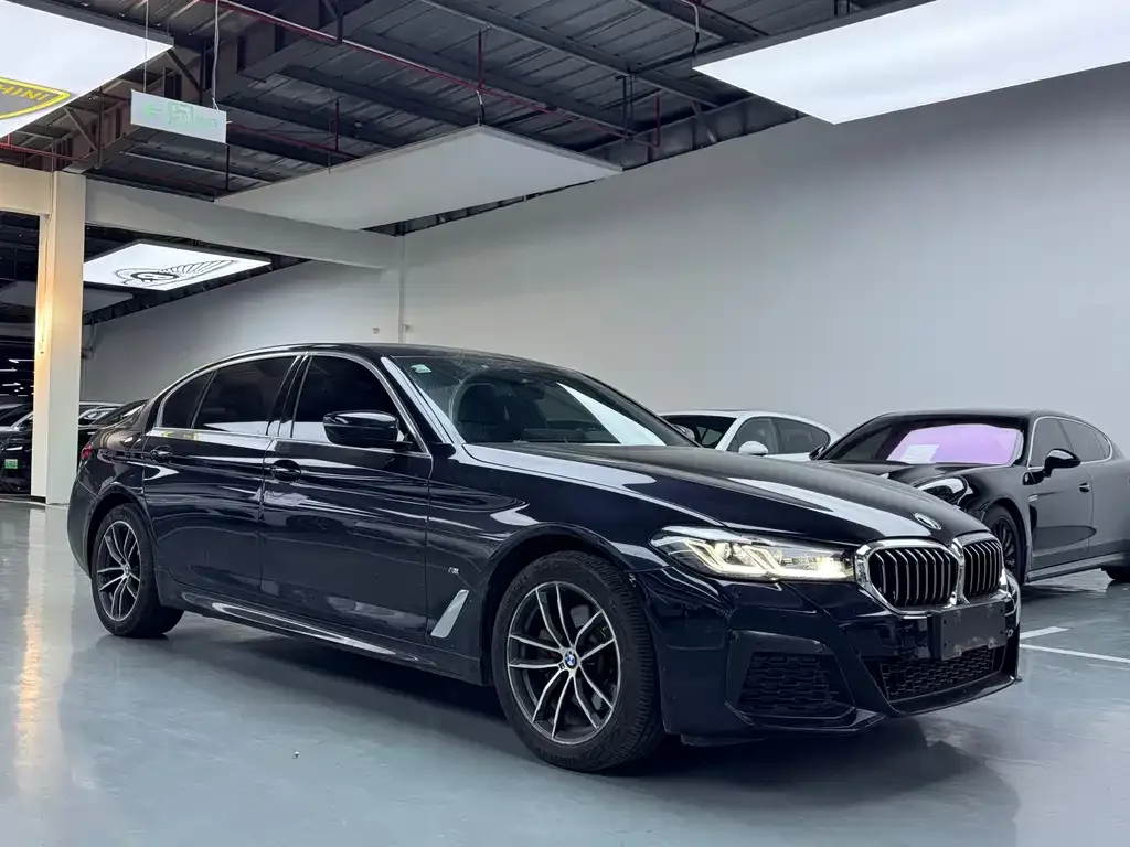 BMW 5 Series 2021 из CN, фото 3