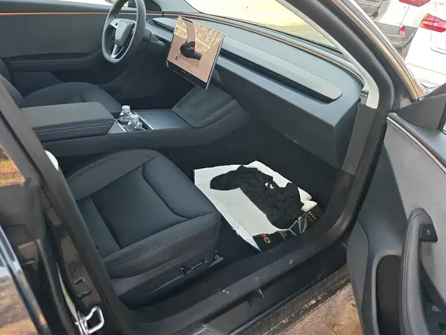 Tesla Model 3 2025 из CN, фото 8
