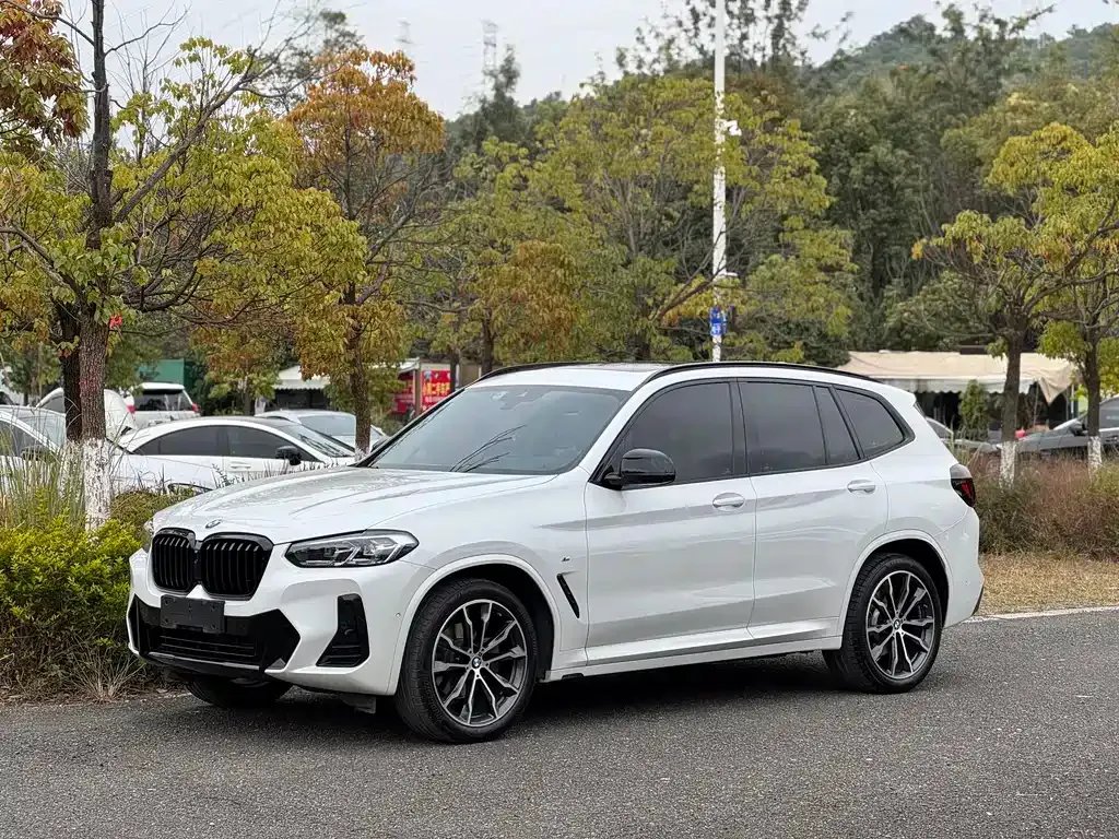BMW X3 — фото 1