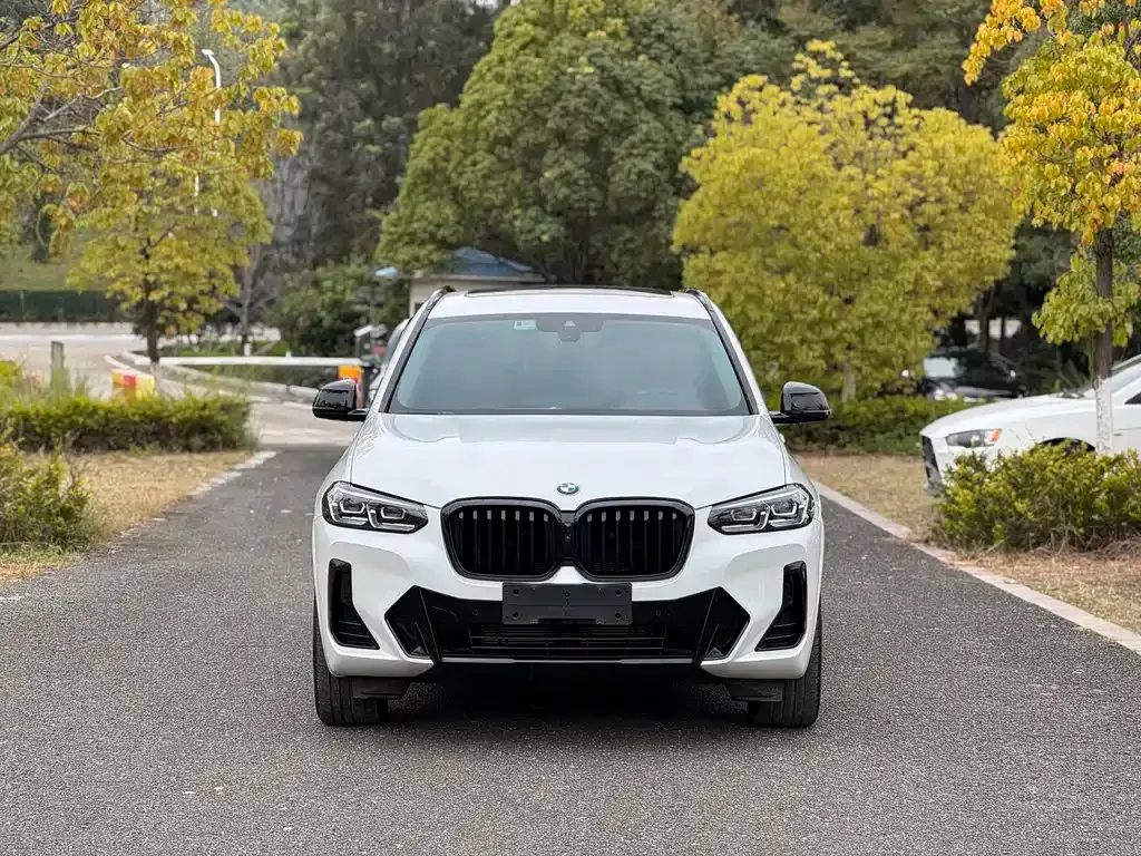 BMW X3 — фото 2