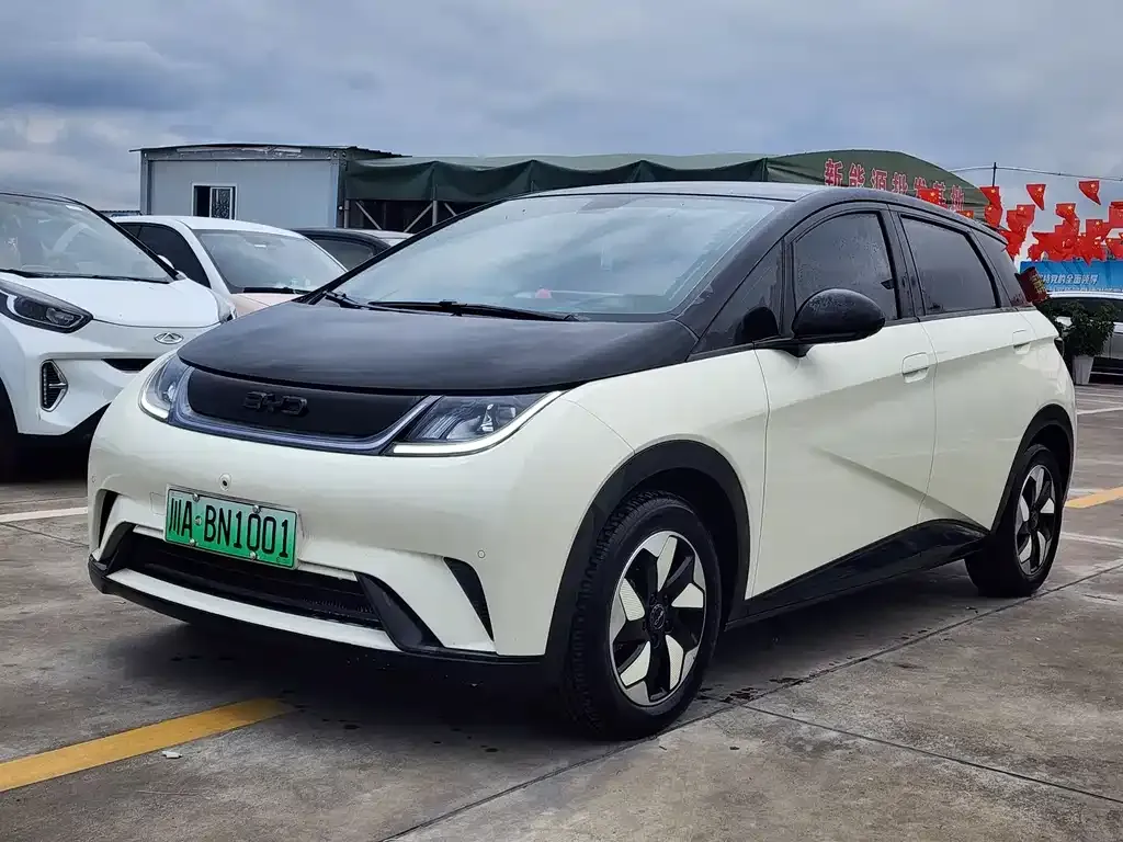 BYD Dolphin 2024 из CN, фото 1