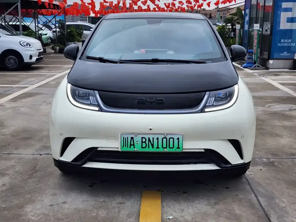 BYD Dolphin 2024 из CN, фото 2