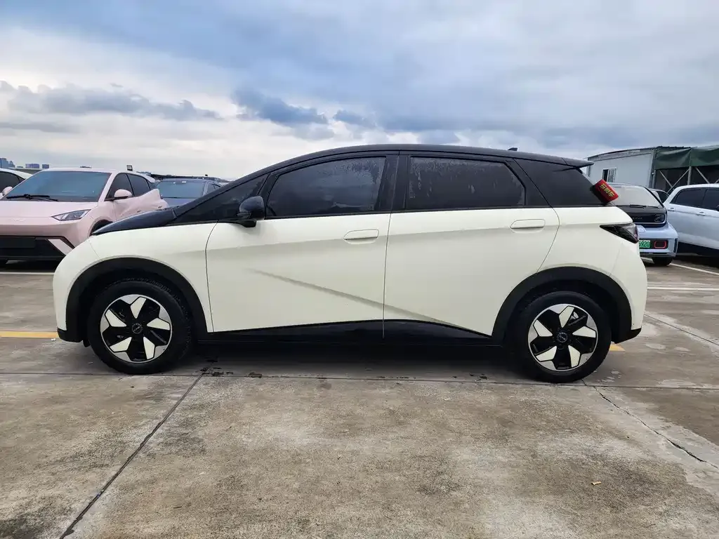 BYD Dolphin 2024 из CN, фото 3