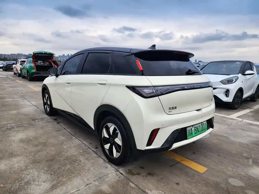 BYD Dolphin 2024 из CN, фото 4