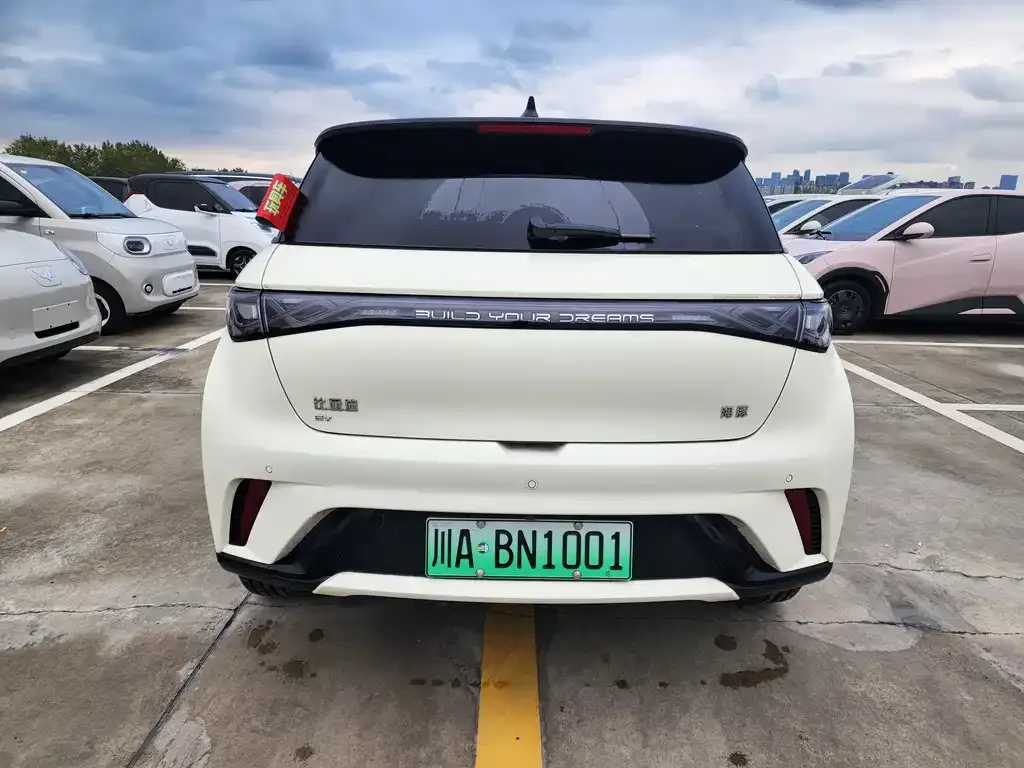 BYD Dolphin 2024 из CN, фото 5