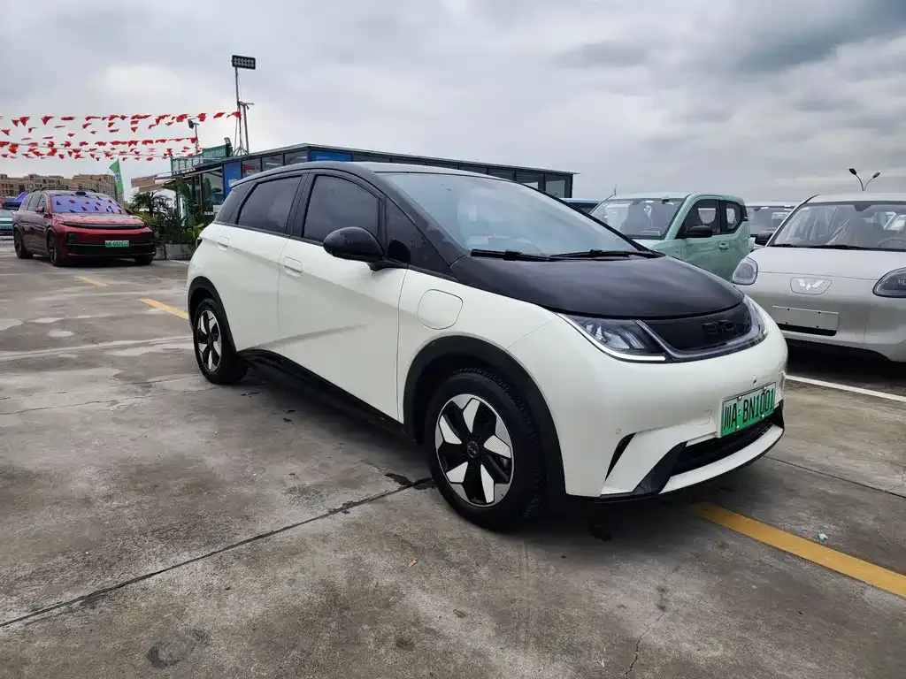 BYD Dolphin 2024 из CN, фото 8