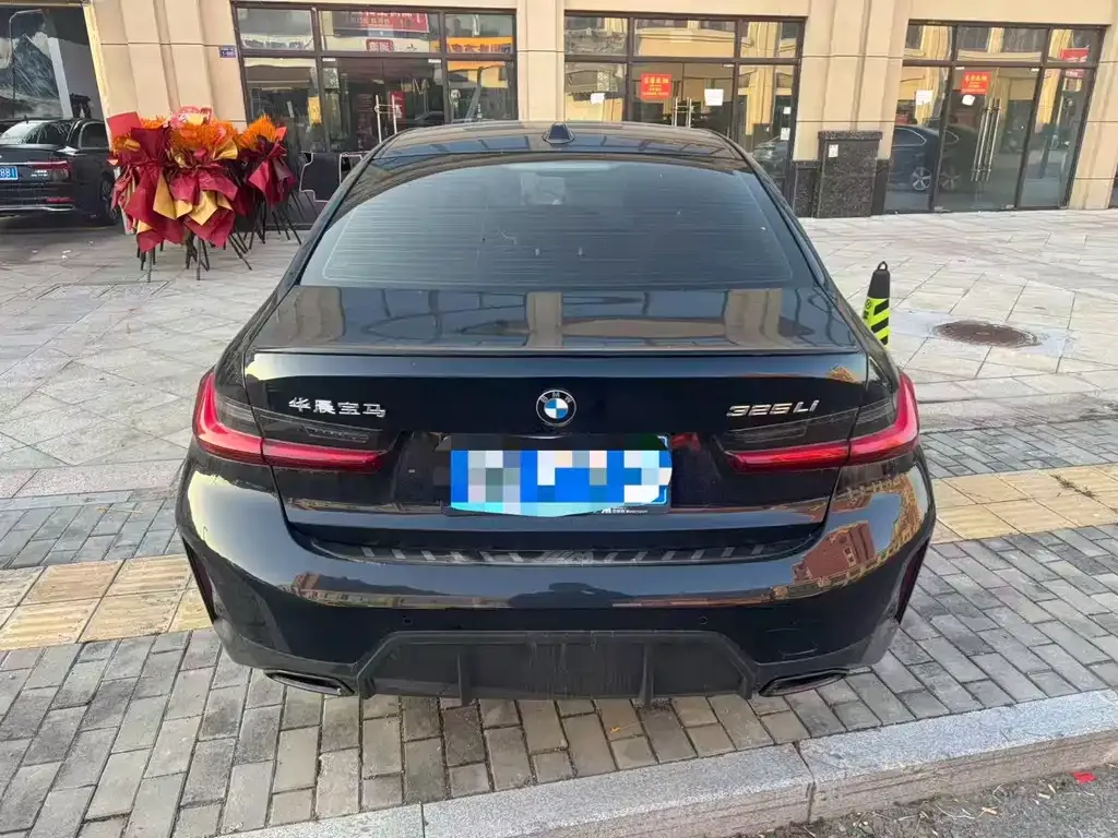 BMW 3 Series 2024 из CN, фото 8