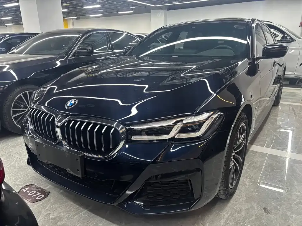 BMW 5 Series 2021 из CN, фото 1
