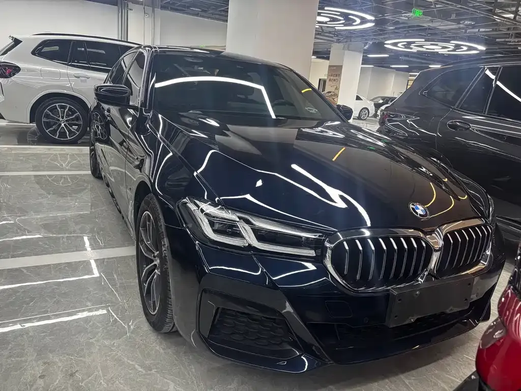 BMW 5 Series 2021 из CN, фото 2