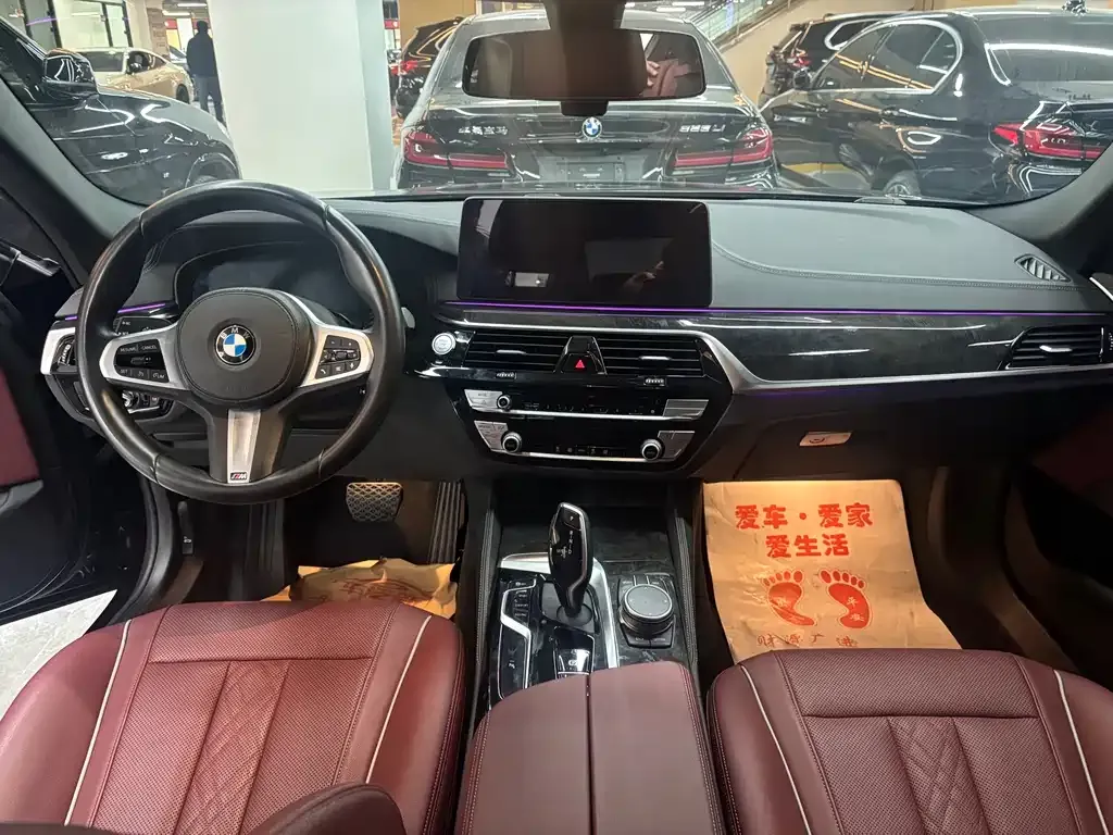 BMW 5 Series 2021 из CN, фото 4