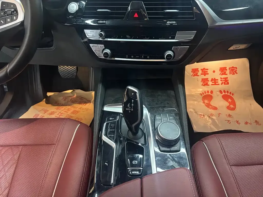 BMW 5 Series 2021 из CN, фото 5