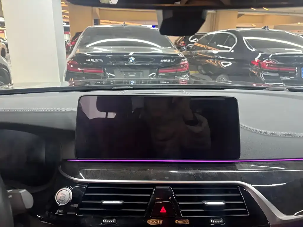 BMW 5 Series 2021 из CN, фото 8