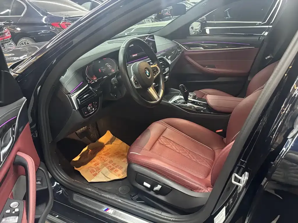 BMW 5 Series 2021 из CN, фото 9