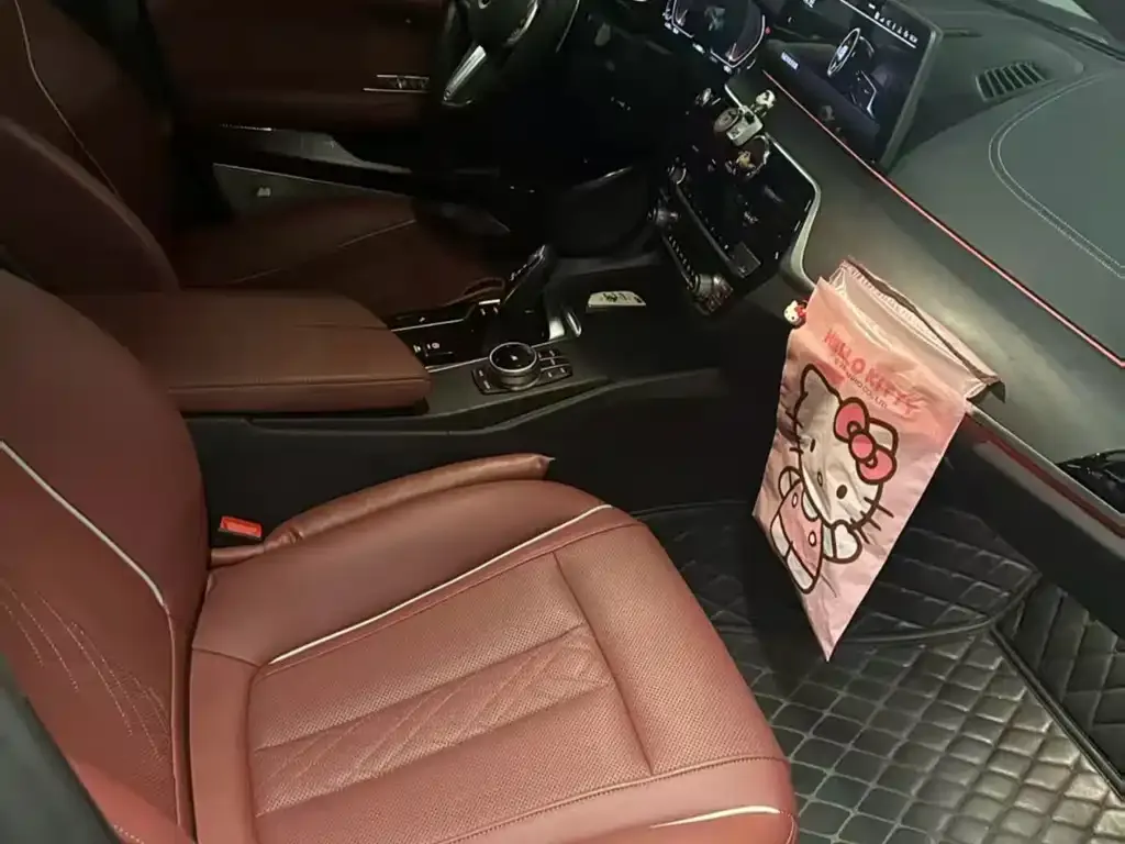 BMW 5 Series 2022 из CN, фото 2