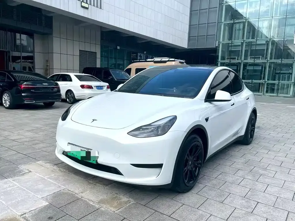 Tesla Model Y 2022 из CN, фото 1