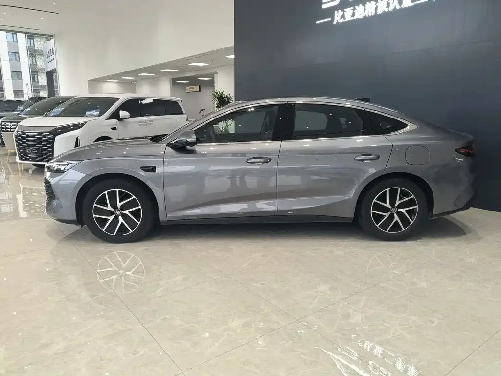 BYD Qin L — фото 2