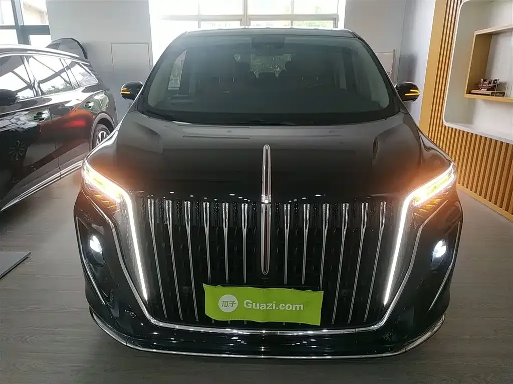 Hongqi HQ9 2023 из CN, фото 3