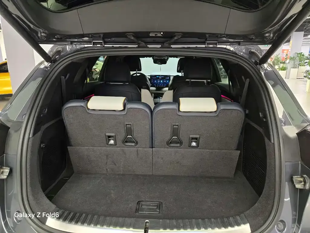 BYD Tang New Energy 2023 из CN, фото 9