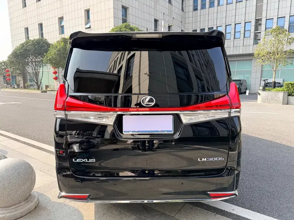 Lexus LM 2022 из CN, фото 6