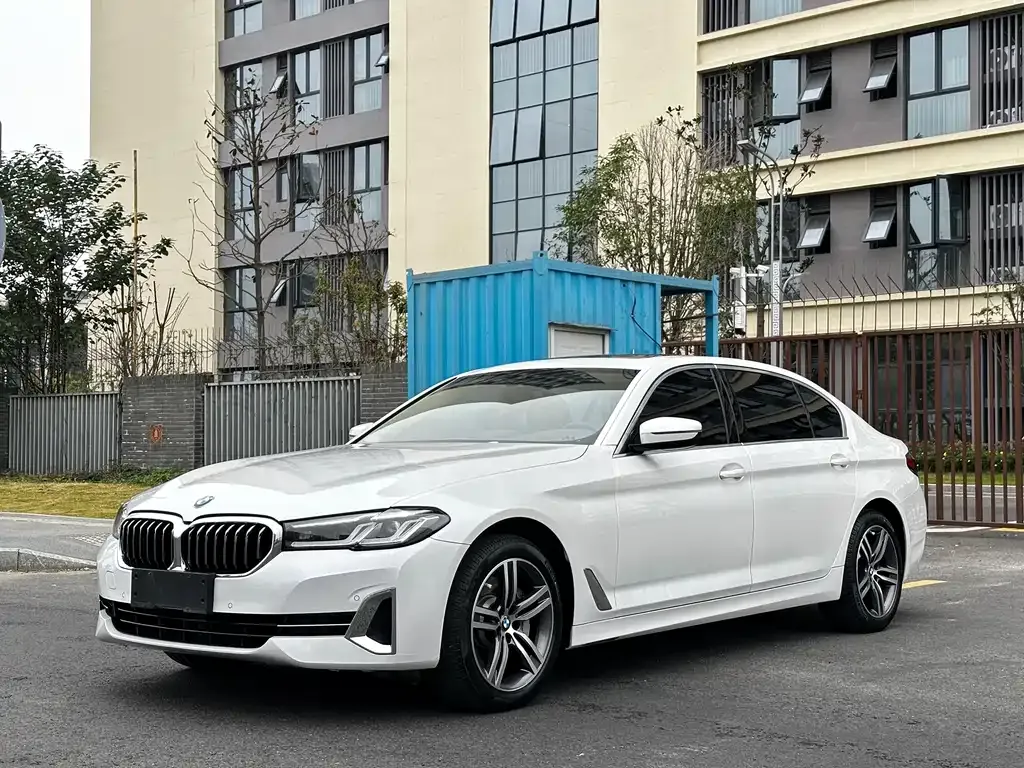 BMW 5 Series 2022 из CN, фото 1
