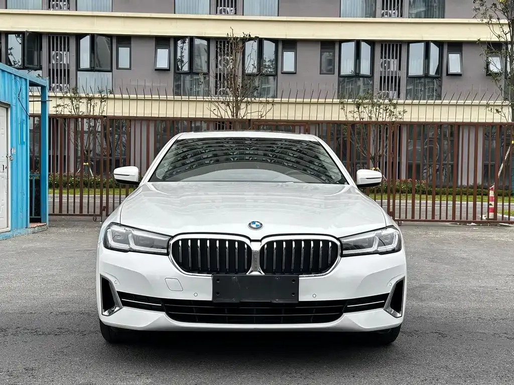 BMW 5 Series 2022 из CN, фото 2