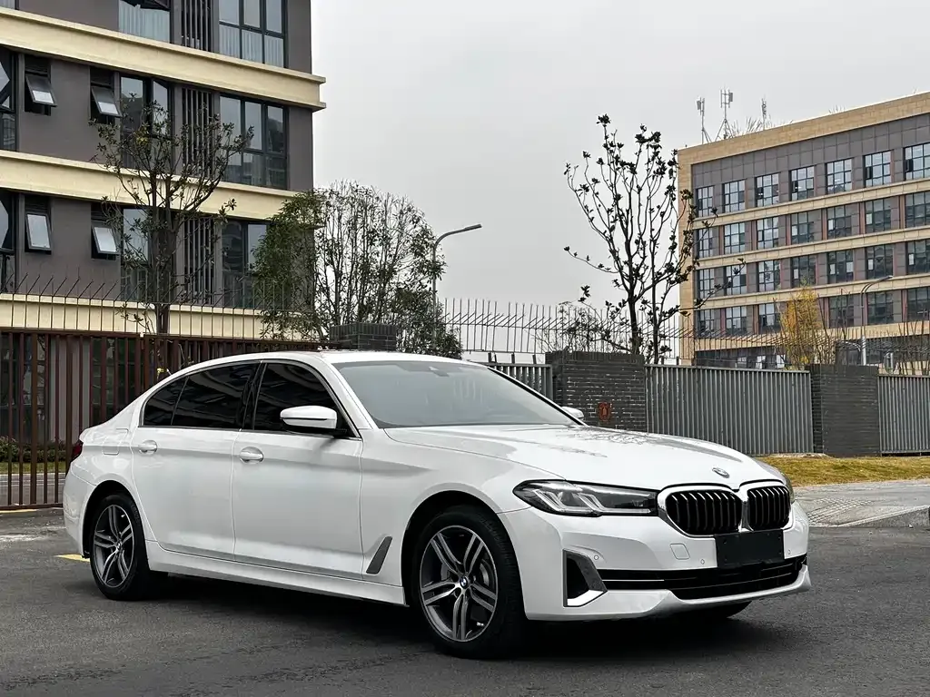 BMW 5 Series 2022 из CN, фото 3