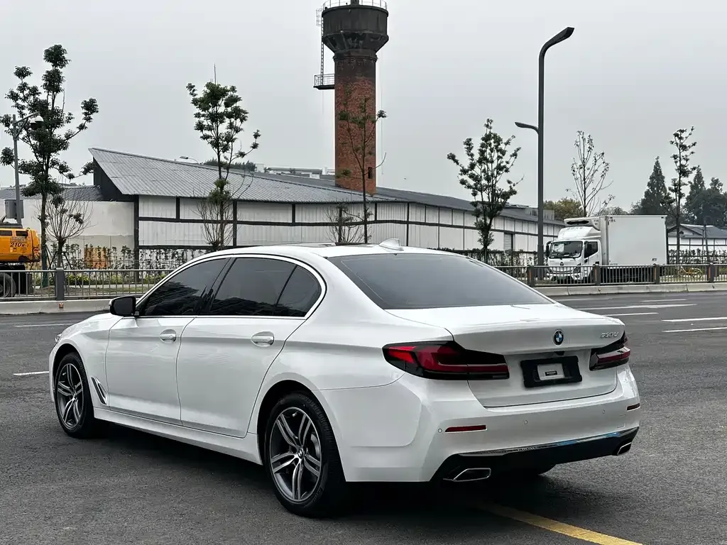 BMW 5 Series 2022 из CN, фото 4