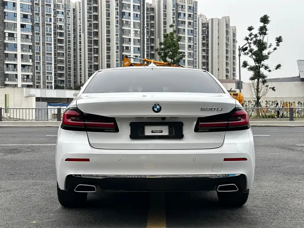 BMW 5 Series 2022 из CN, фото 5