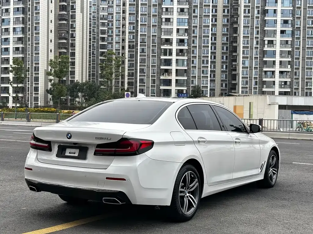 BMW 5 Series 2022 из CN, фото 6