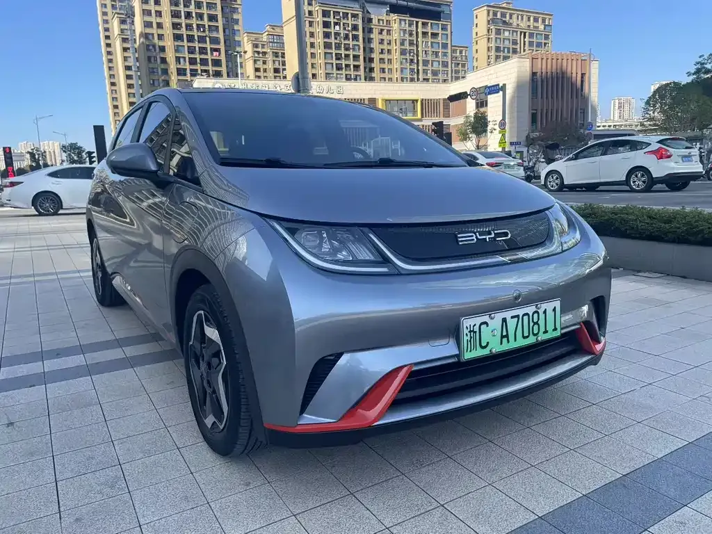 BYD Dolphin 2023 из CN, фото 1