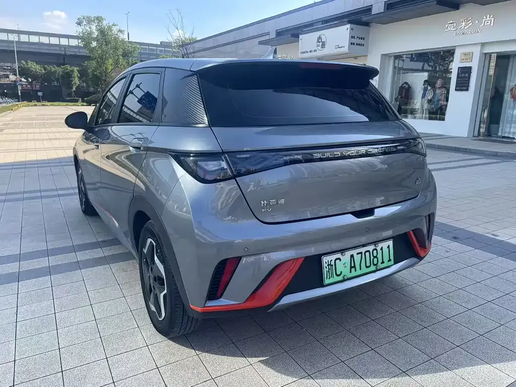 BYD Dolphin 2023 из CN, фото 7