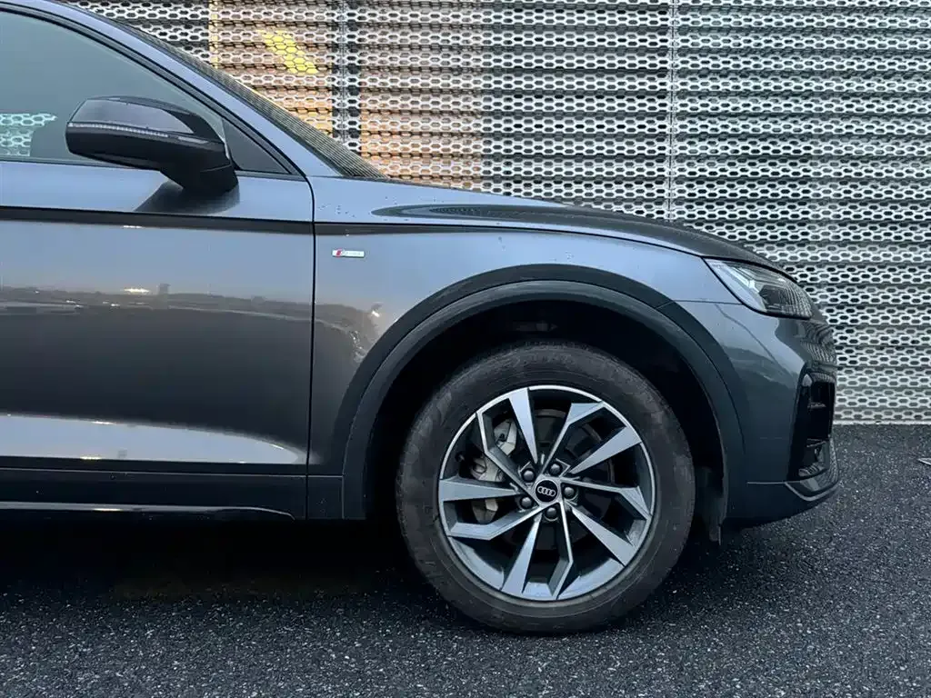 Audi Q5L 2023 из CN, фото 5