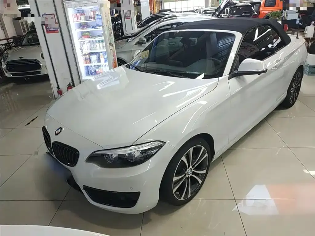 BMW 2 Series (Import) 2021 из CN, фото 1