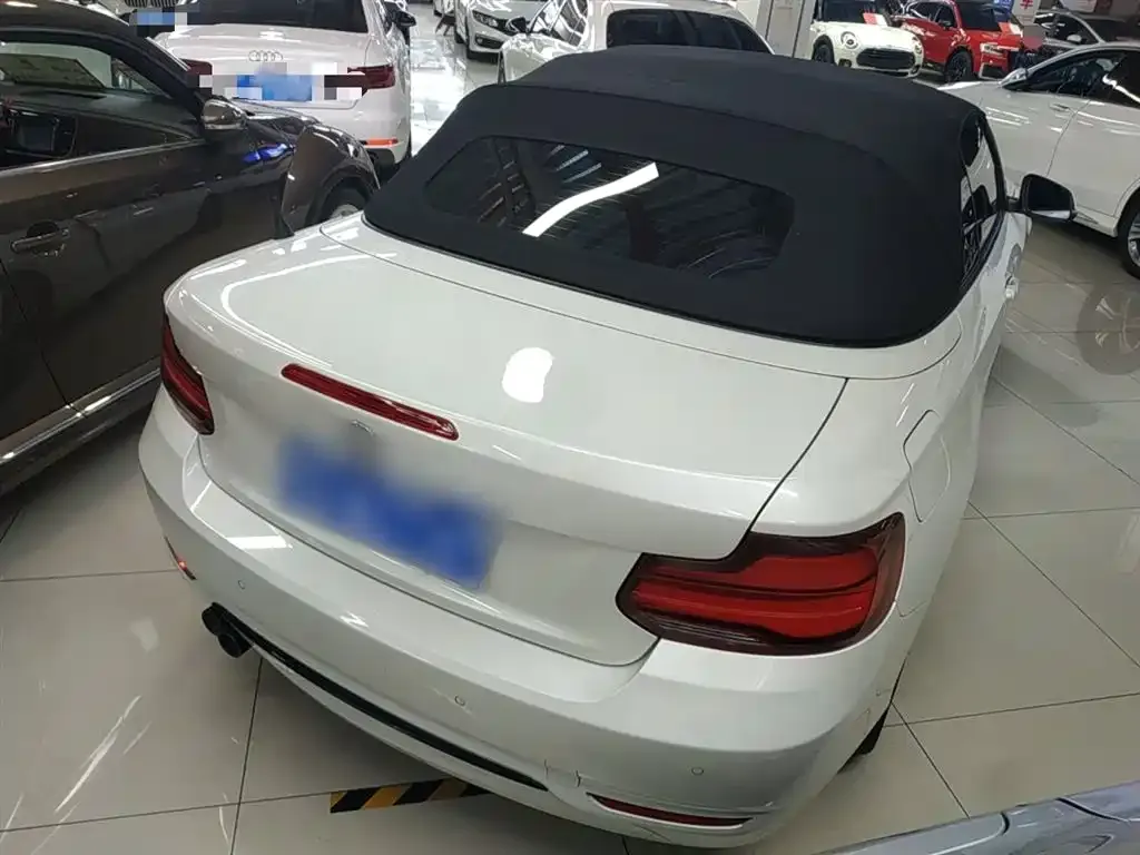 BMW 2 Series (Import) 2021 из CN, фото 7