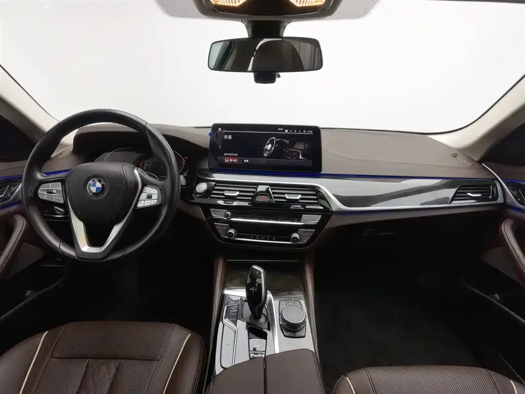 BMW 5 Series 2023 из CN, фото 5