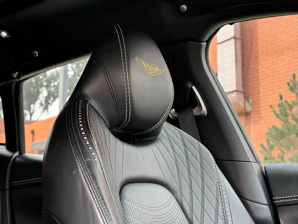 Aston Martin DBX 2022 из CN, фото 6