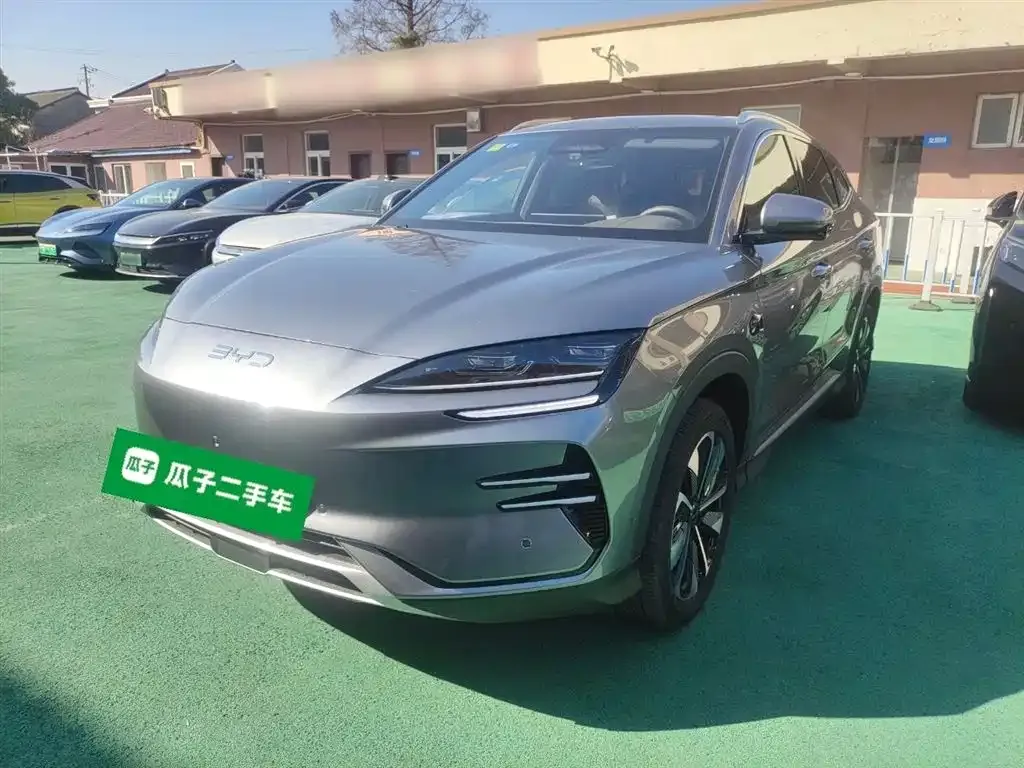 BYD PLUS New Energy 2025 из CN, фото 2
