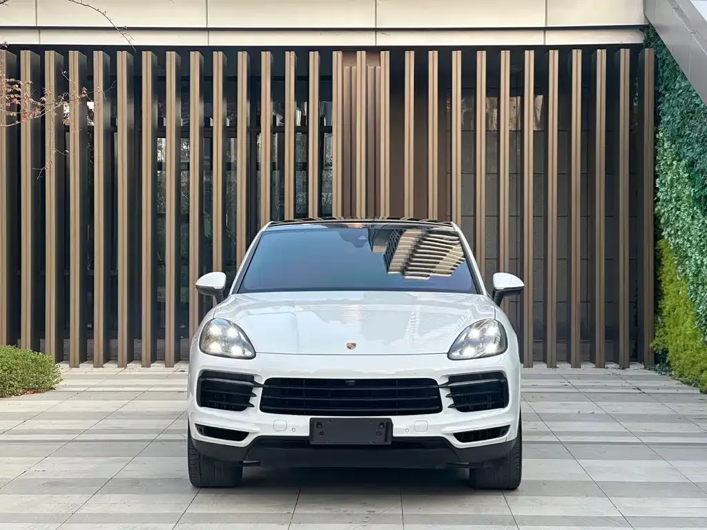 Porsche Cayenne 2021 из CN, фото 2
