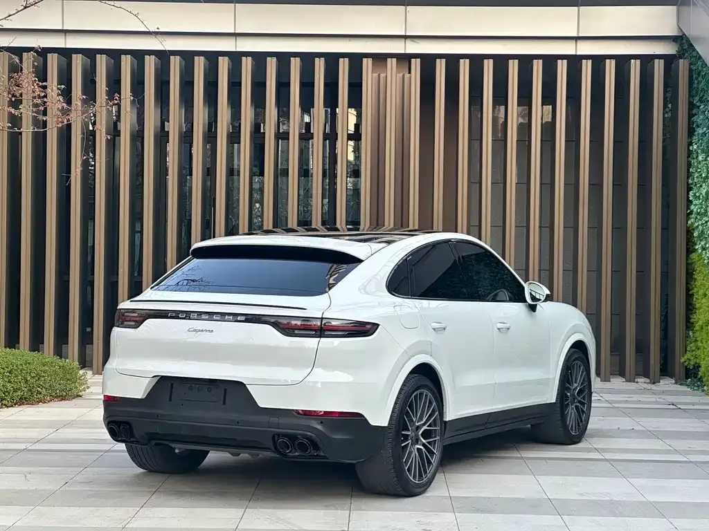 Porsche Cayenne 2021 из CN, фото 6