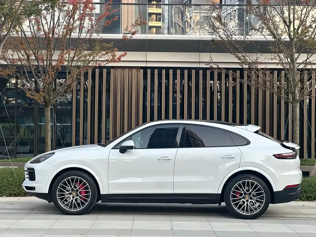 Porsche Cayenne 2021 из CN, фото 7