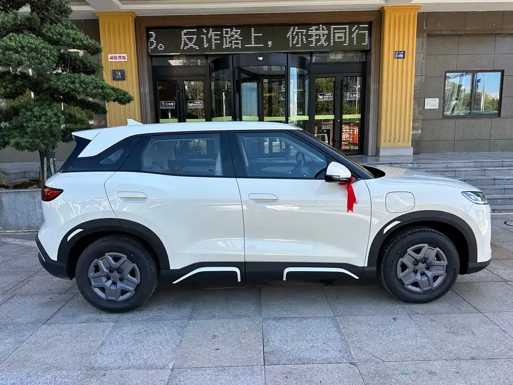 BYD Yuan UP 2025 из CN, фото 5