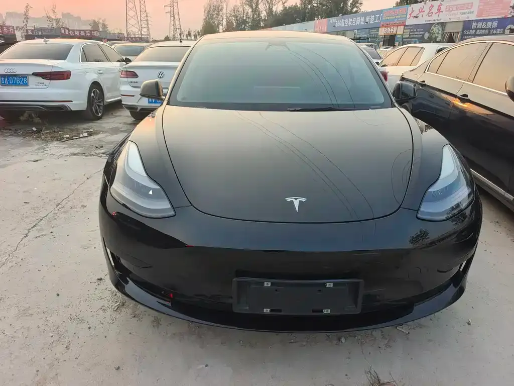 Tesla Model 3 2023 из CN, фото 2